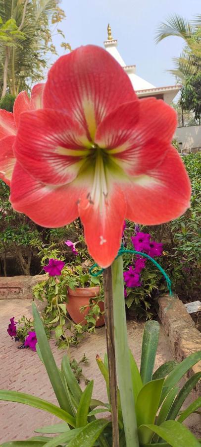Upasana Eco Resort Bolpur Buitenkant foto
